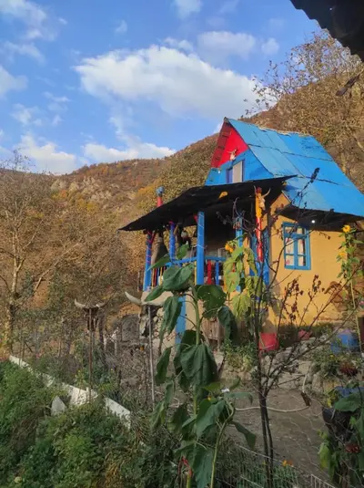 کلبه یک خوابه زرین جواهرده