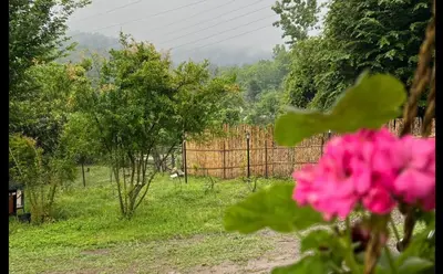 بومگردی کوهپایه - واحد 2