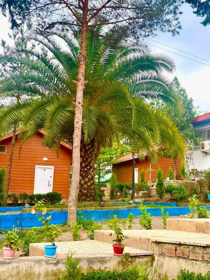 کلبه فلت کاسپین - واحد ۴