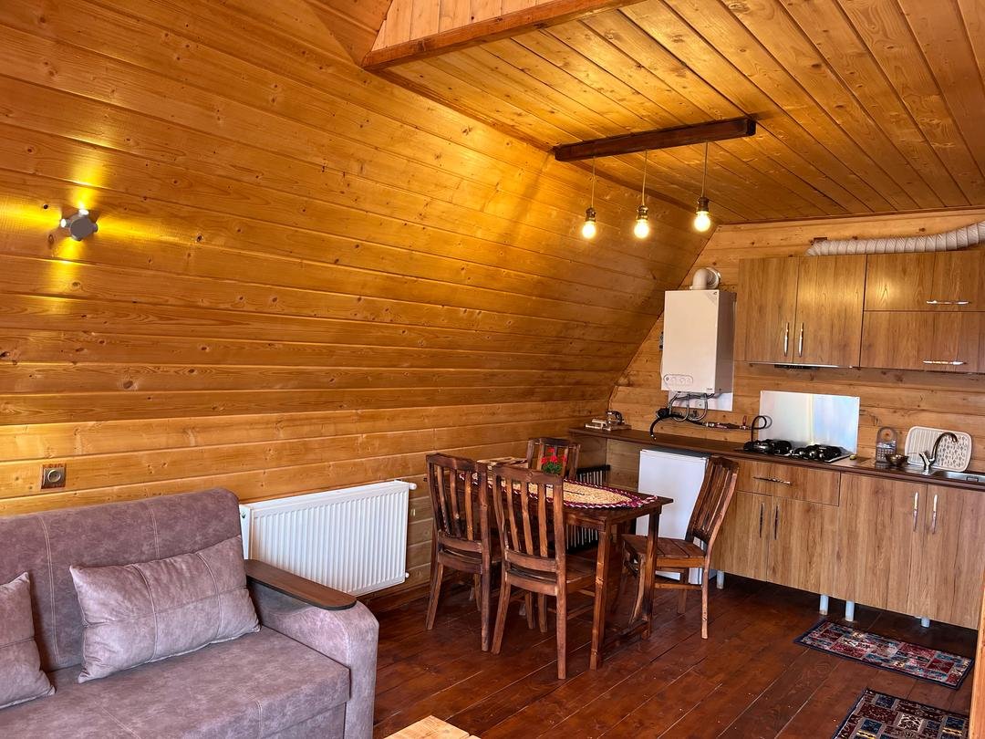 یک خوابه تینا