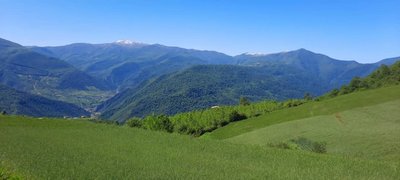 ویلا بارانک - واحد 8