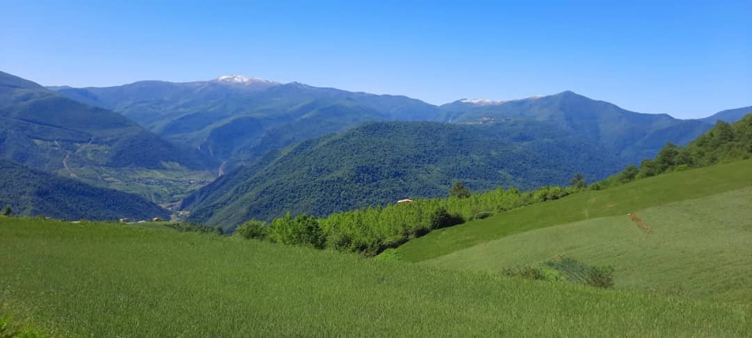 ویلا بارانک - واحد 8