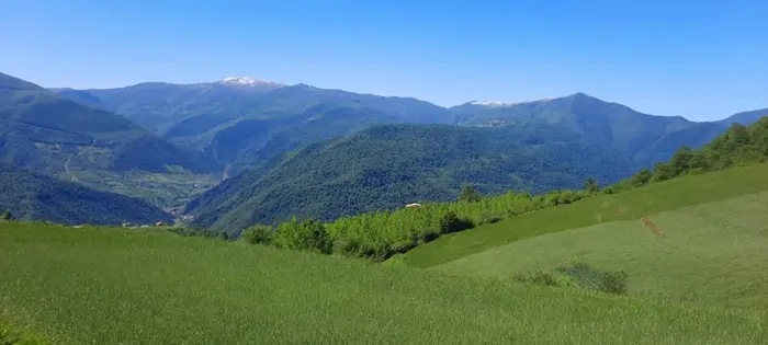 ویلا بارانک - واحد 8