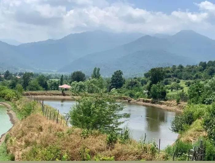 ویلا دوخوابه آیلی