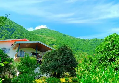 ویلا دوخوابه جنگلی چشم انداز 10