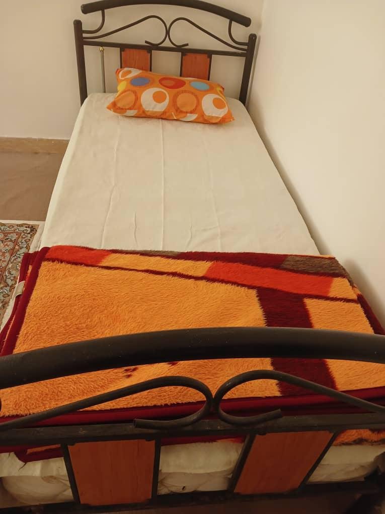 سوئیت دوخوابه جنگلی شولم