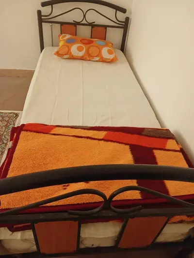 سوئیت دوخوابه جنگلی شولم