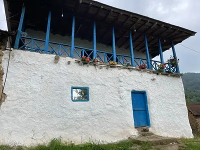 کلبه کلبه جنگلی سکوت