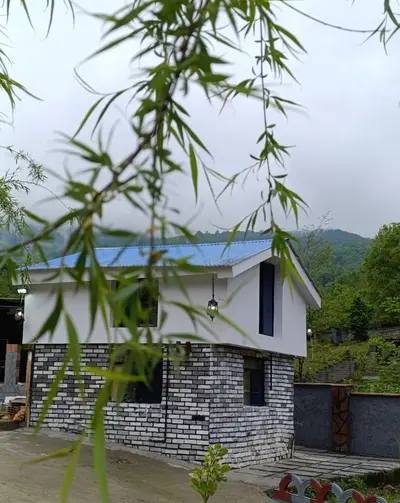 کلبه فلت جنگلی ماه سو ٣