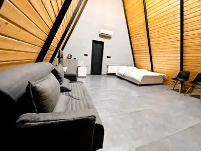 کلبه فلت سوئیسی دیم 1