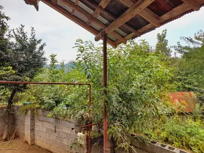 ویلا یک خوابه جنگلی آریا