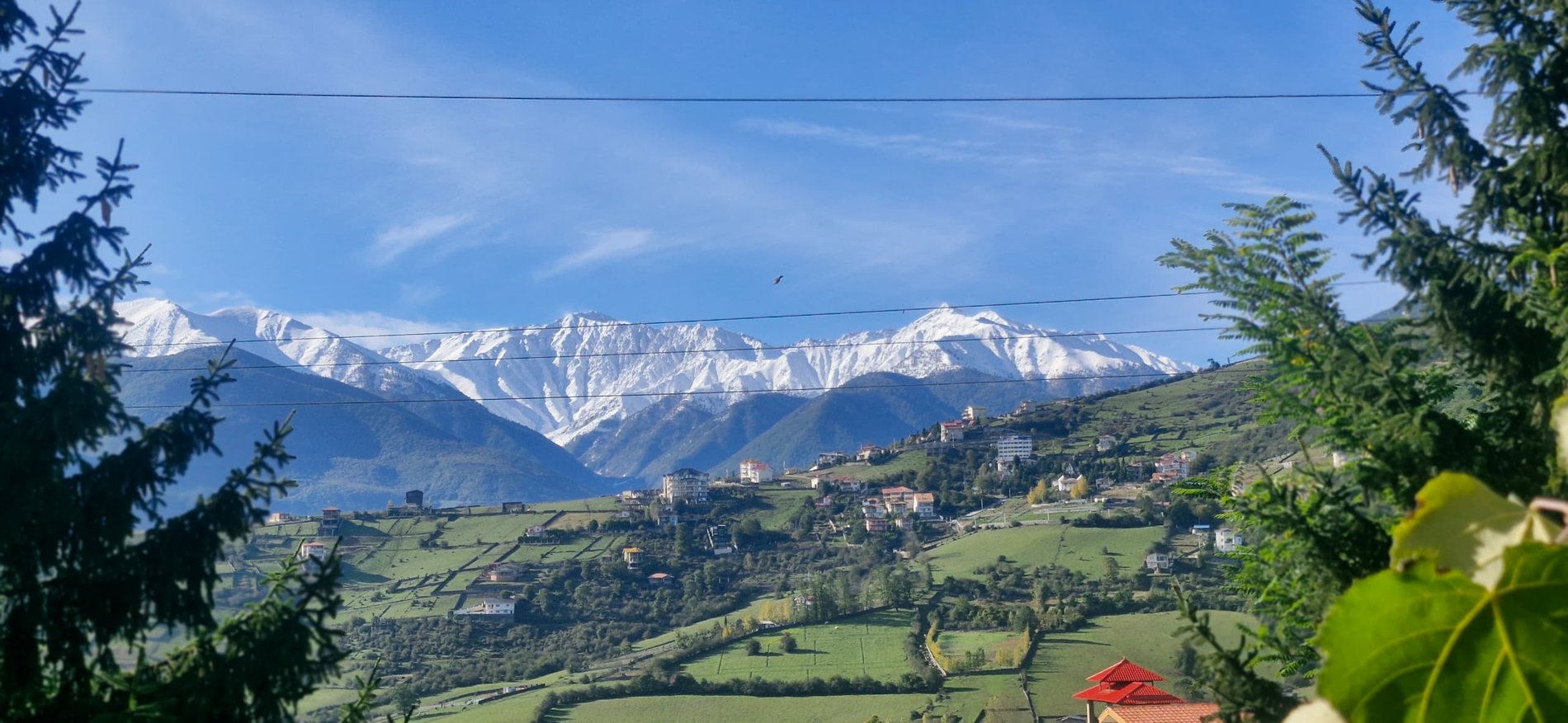 سه خوابه جنگلی یعقوبی