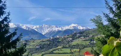 ویلا سه خوابه جنگلی یعقوبی