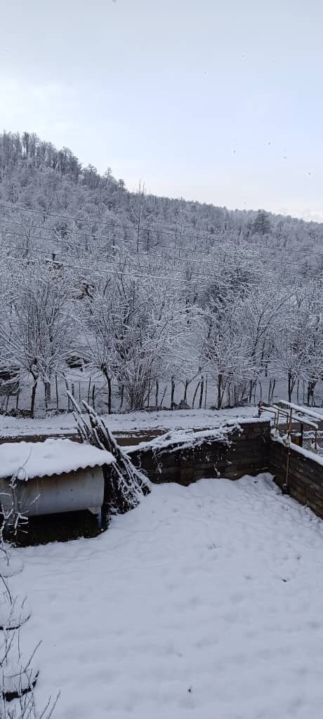 بومگردی دوخوابه حاجی تبار