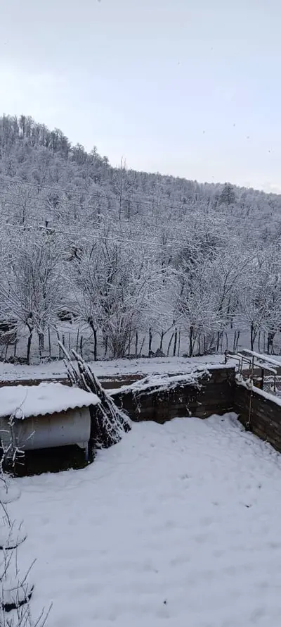 بومگردی دوخوابه حاجی تبار