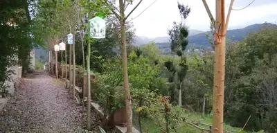 سوئیت گیله وا - یک تخته فلت گیو ٢