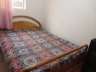 کلبه یک خوابه جنگلی روجین