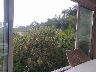 کلبه فلت جنگلی شمشاد