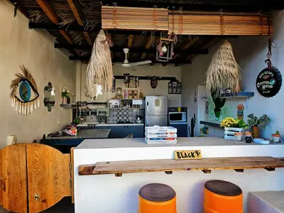 سوئیت بلک کاکتوس - واحد 1