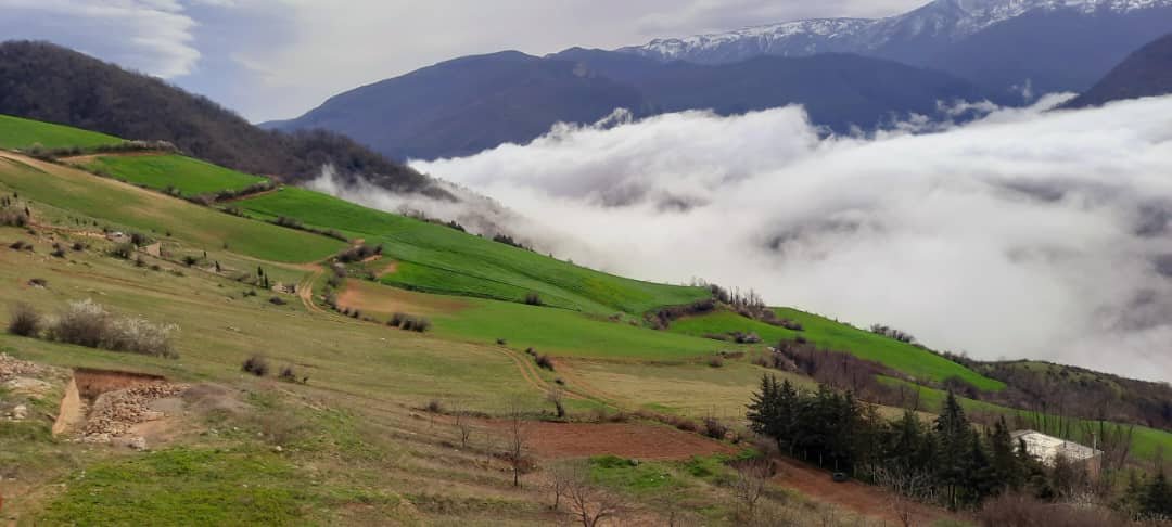 ویلا بارانک - واحد 8