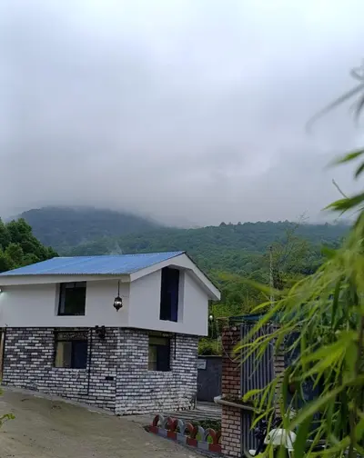 کلبه فلت جنگلی ماه سو ٣