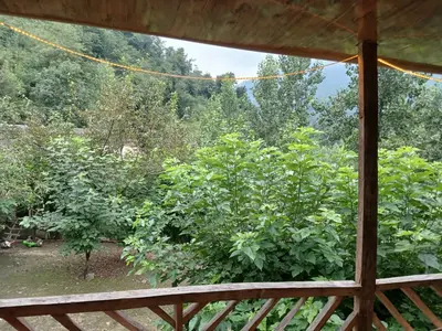 کلبه سه خوابه جنگلی روجین