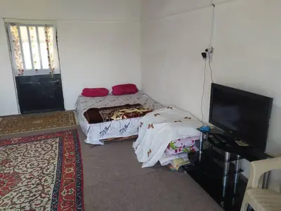 کلبه فلت جنگلی شمشاد