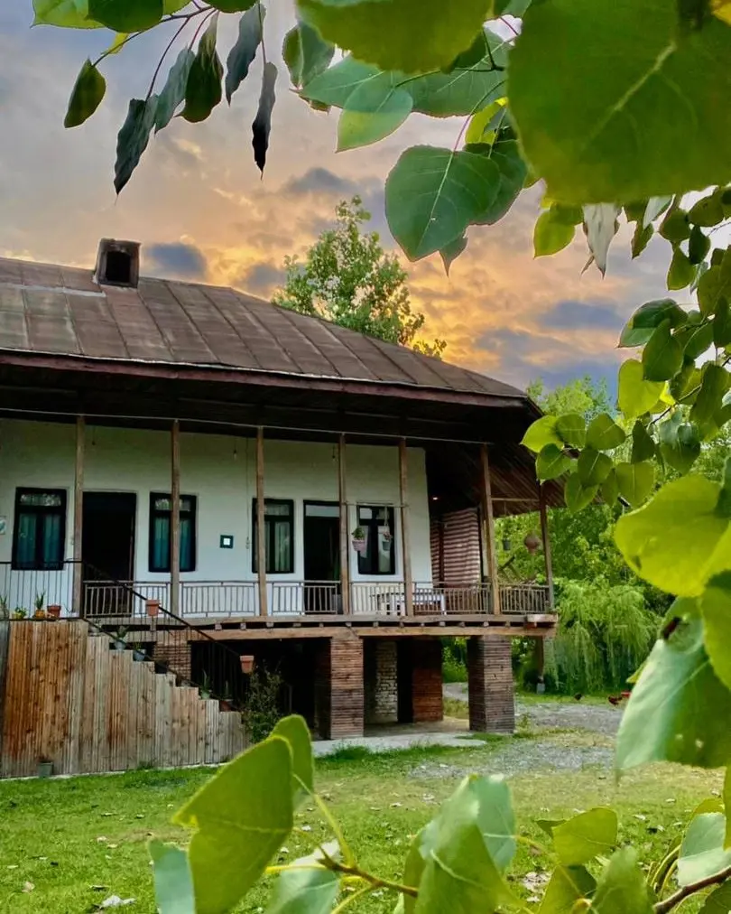 کلبه یک خوابه شالیزار 2