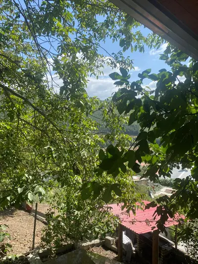 کلبه یک خوابه جکوزی دار گرین لند