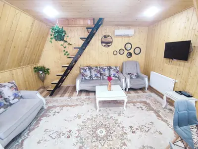 کلبه یک خوابه سوئیسی گولی مرد