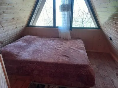 کلبه دوخوابه سوئیسی شادپور