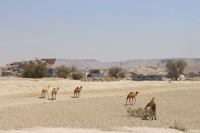 خش - واحد 2 تخته دابل