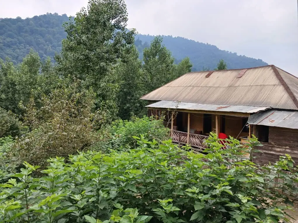 کلبه سه خوابه جنگلی روجین