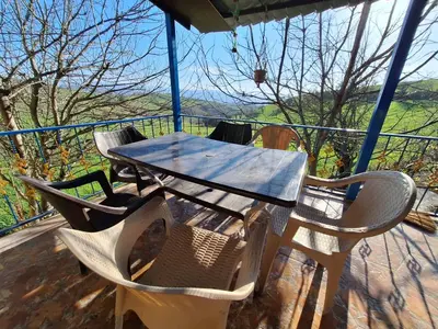 اقامتگاه سنتی گل و بلبل - واحد ۱