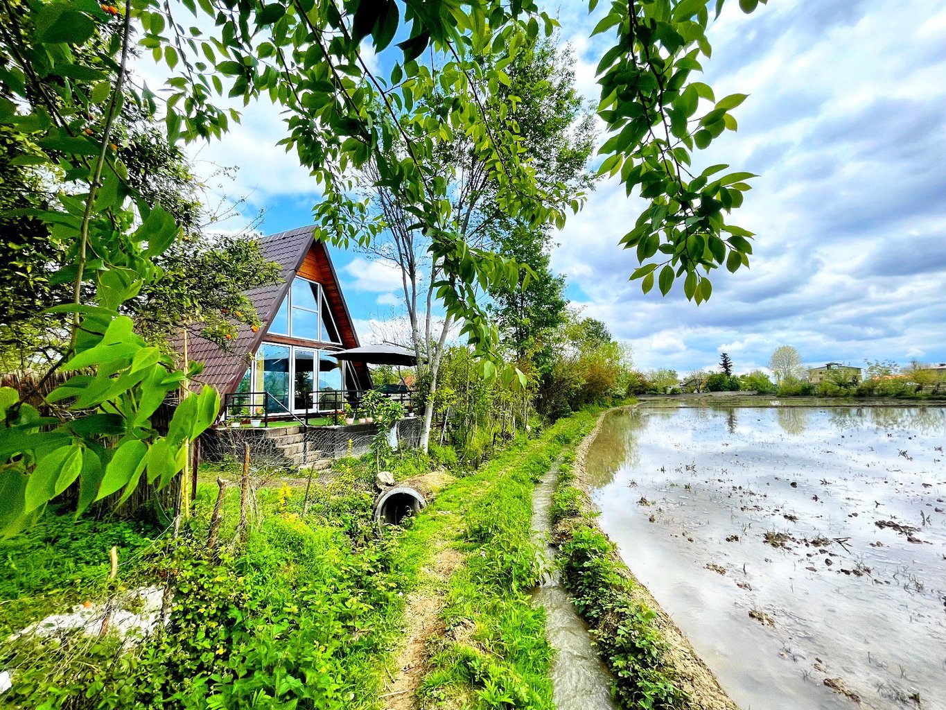 کلبه یک خوابه سوئیسی ریحان