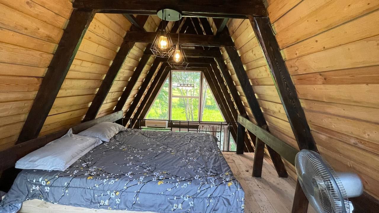 یک خوابه سوئیسی ریحان