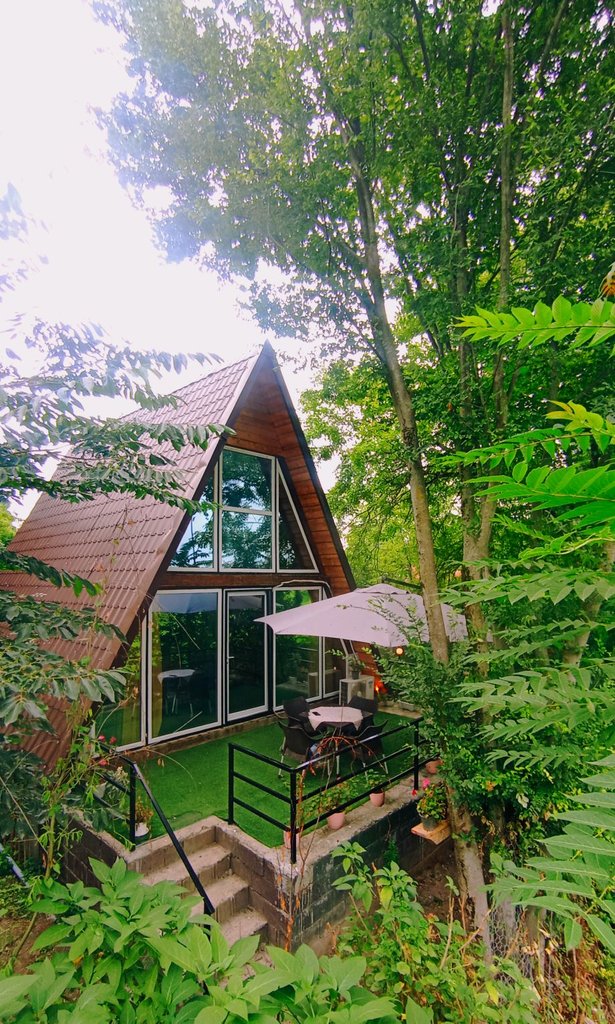 یک خوابه سوئیسی ریحان