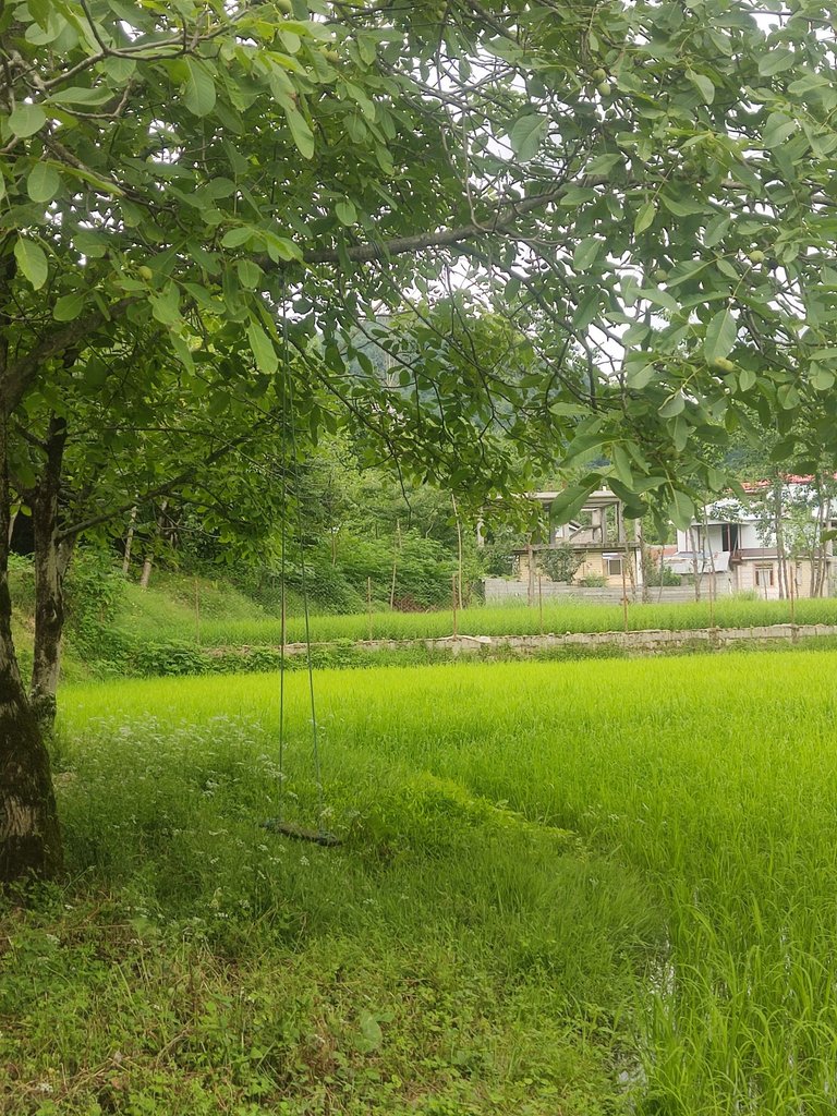 ویلا یک خوابه نبوت ۱۳