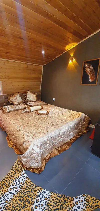 ویلا یک خوابه چوبی نیک فیلبند