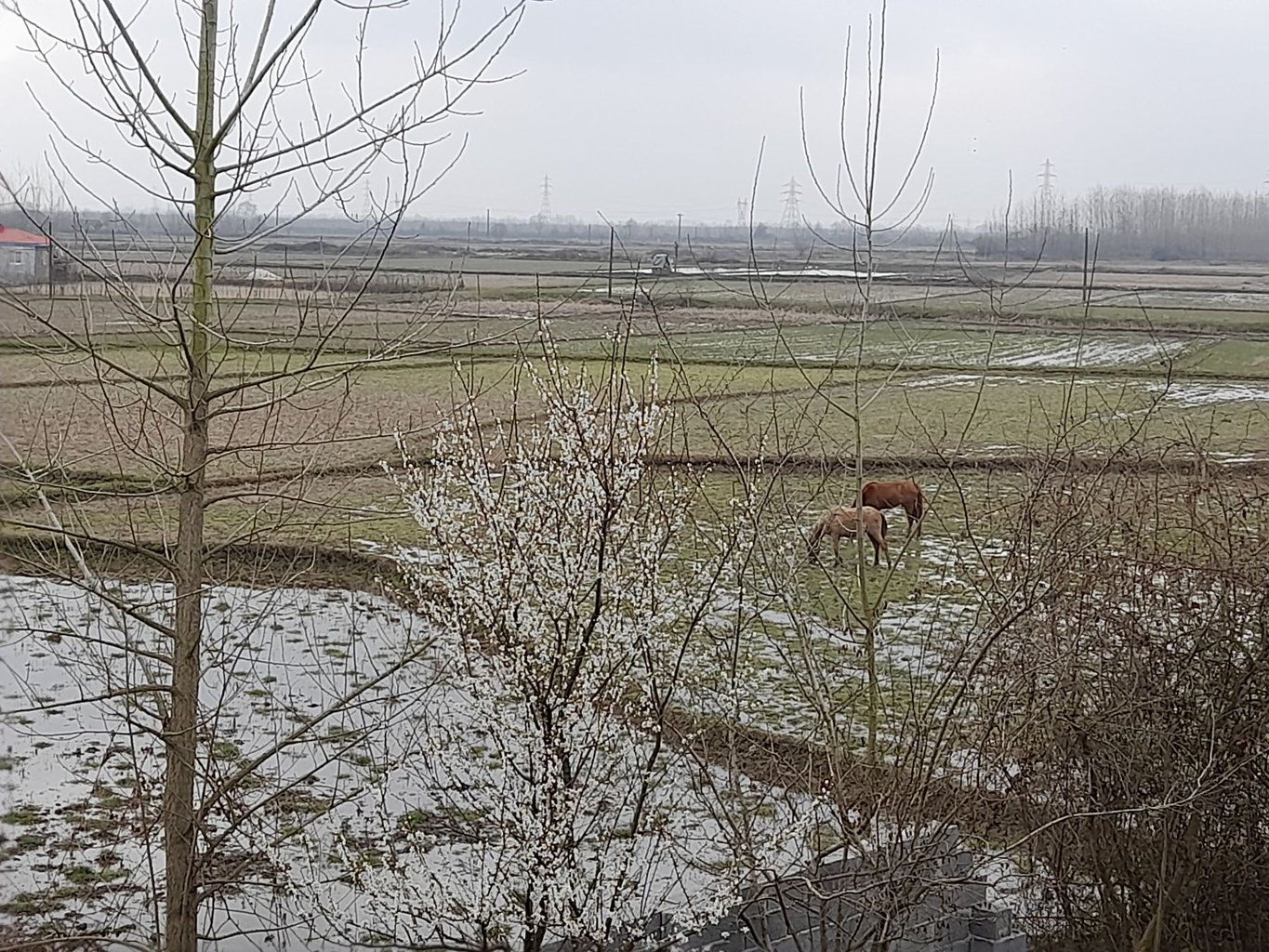 یک خوابه فدائی