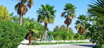 آپارتمان دوخوابه E2 اول شرقی