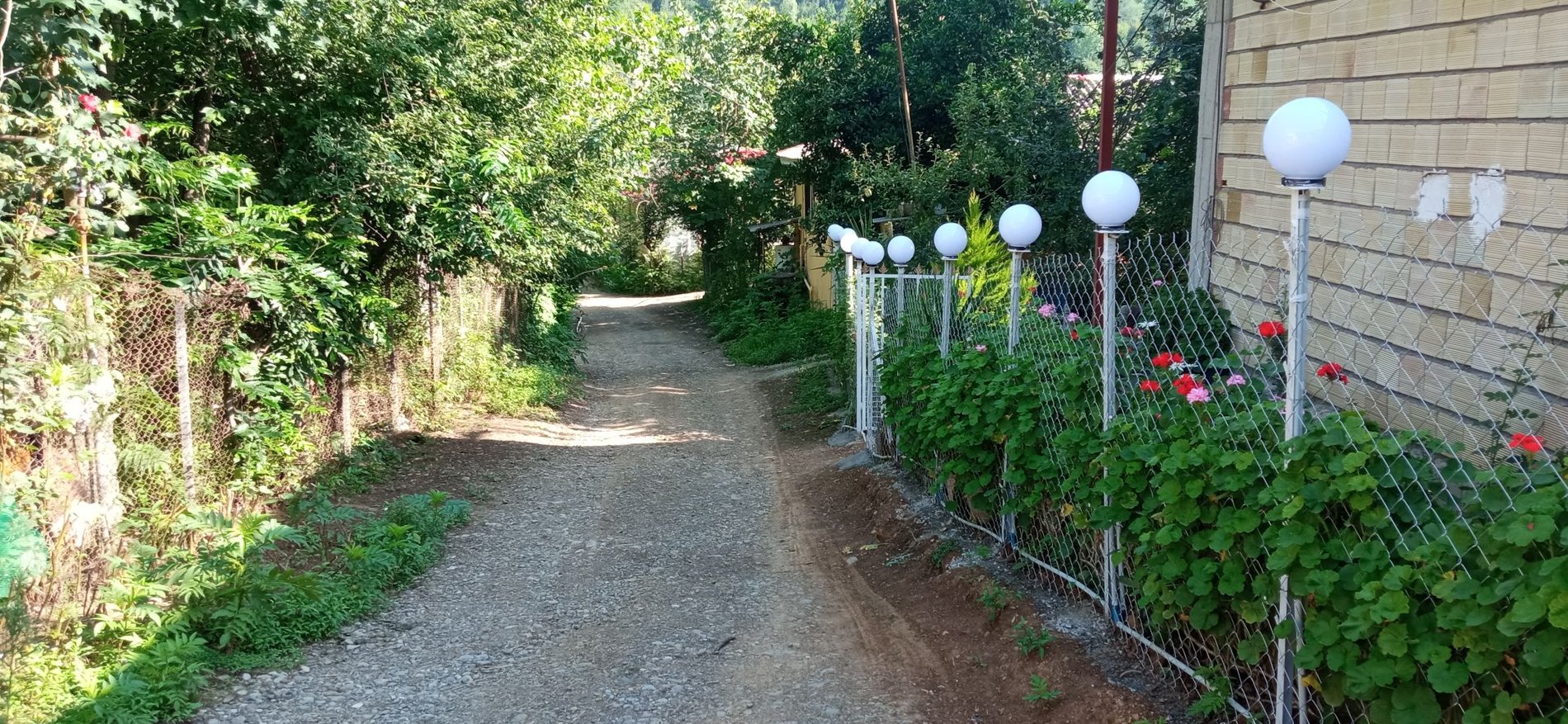 یک خوابه جنگلی طولارود