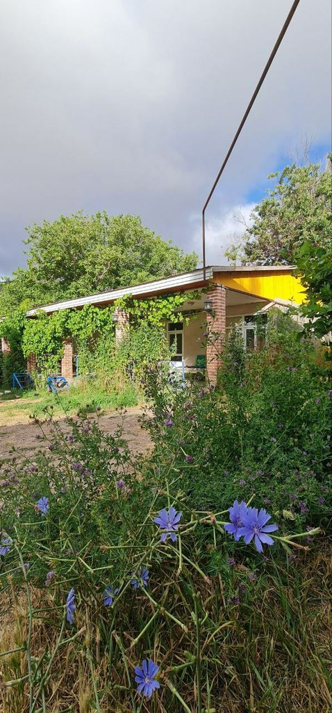 کوروش - واحد 303