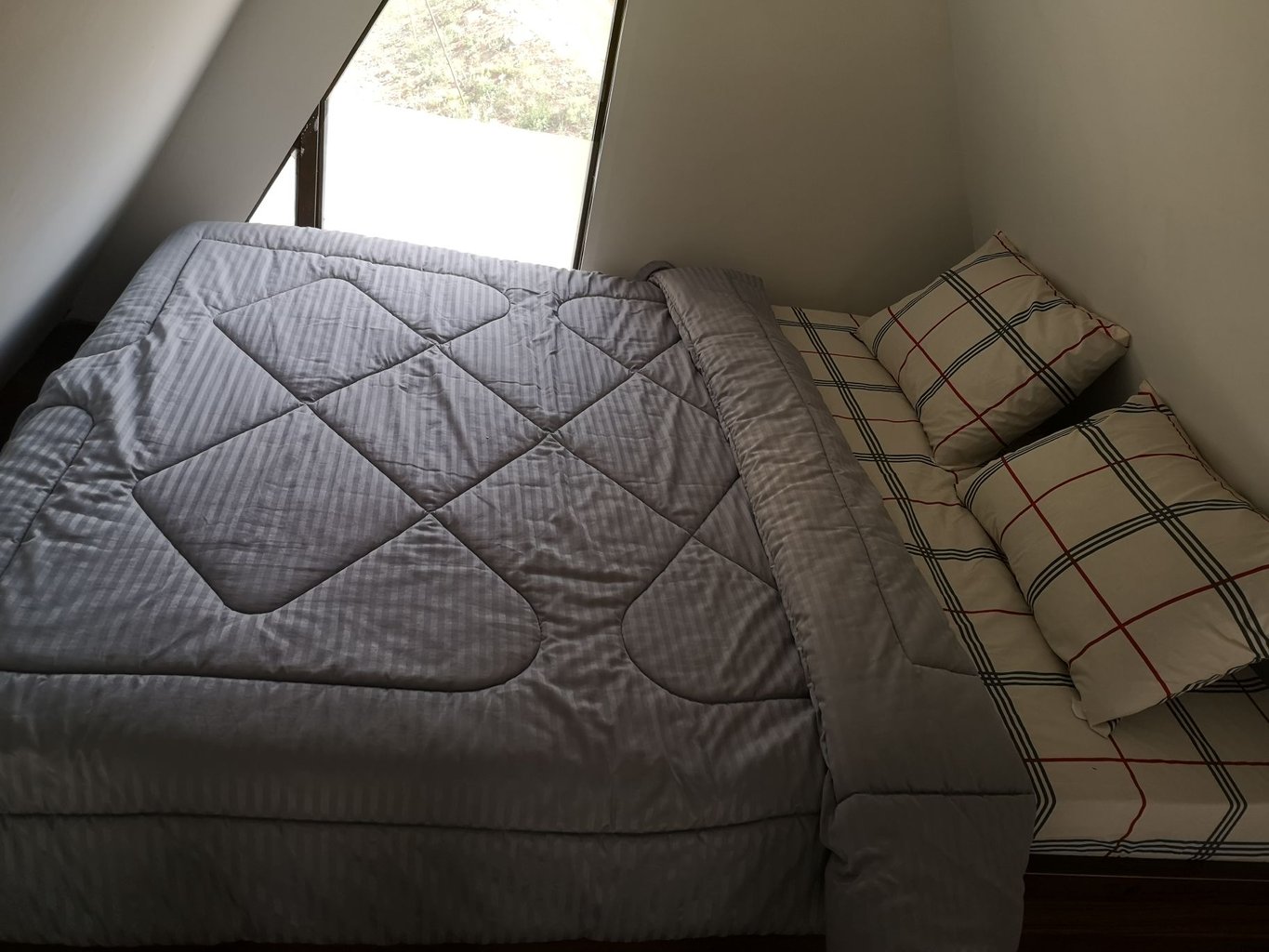 یک خوابه قو سفید