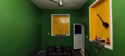 بومگردی کاج - واحد زمرد