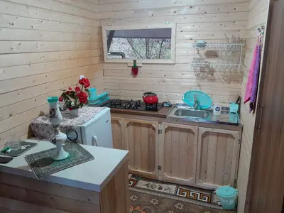 کلبه فلت دوبلکس سبز آرمانی