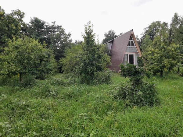 کلبه فلت دوبلکس سبز آرمانی