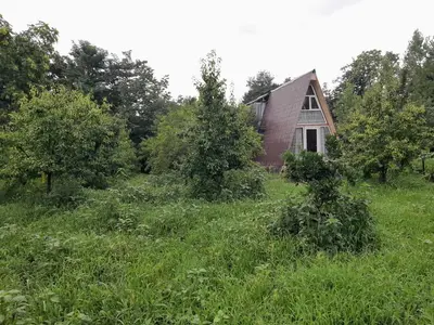 کلبه فلت دوبلکس سبز آرمانی