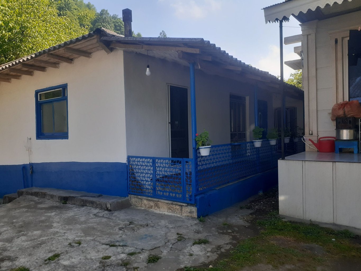 سوئیت فلت جنگلی زارع