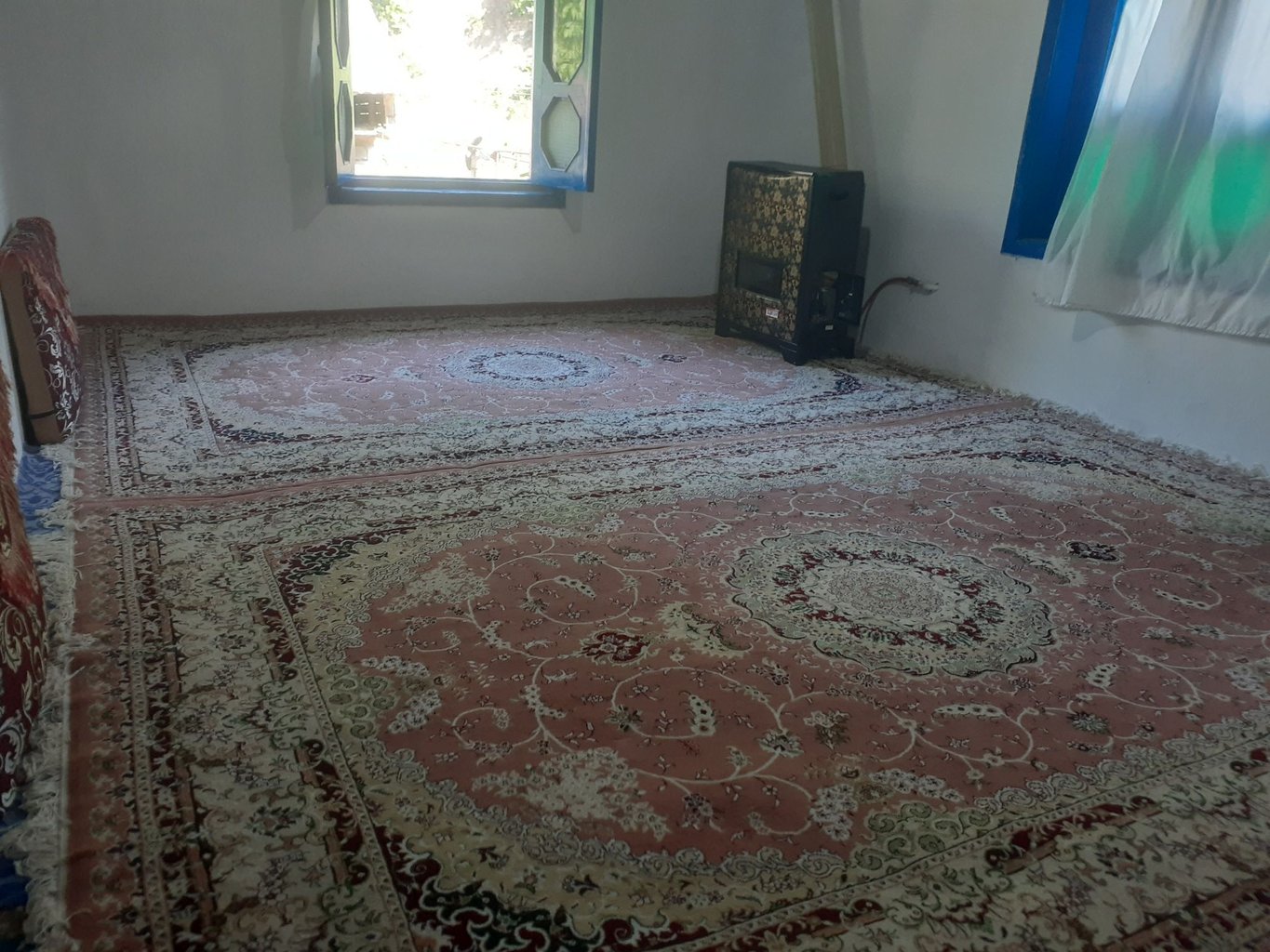 سوئیت فلت جنگلی زارع